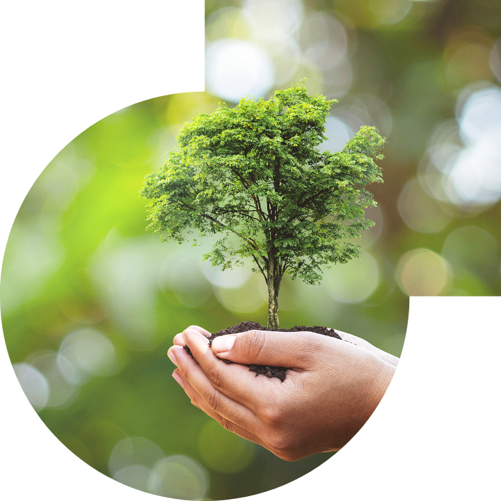 關懷人類、文化、環境與社會